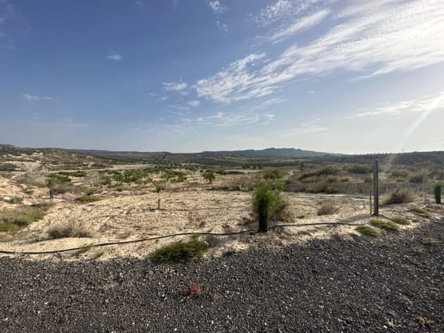 Plot Of Land In Torremendo